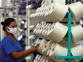 More support policies needed for fiber industry