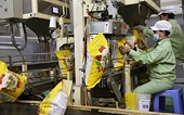 Good signs for Vietnam's rice exports