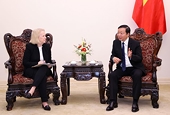 Việt Nam prepares conditions to export fresh coconut, frozen durian to China