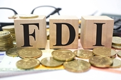 Connecting with FDI enterprises to boost wood exports