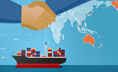 Statistics on safeguards case against Vietnam's exports in the other foreign market up to 31 Dec 2022