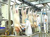 Discharging technical barriers to limit the import of livestock products