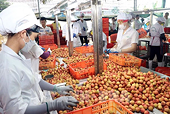 Ample room remains for Vietnam"s exports to China
