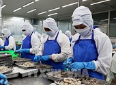 Vietnam ranks fifth among aquatic product suppliers for Singapore