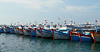 EC reschedules fifth IUU fishing inspection in Vietnam