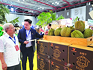 Ensuring quality for sustainable growth of durian exports