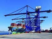 Vietnam posts trade surplus of over US$8 billion in 5 months