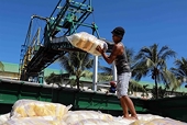 Rice exporters divided on minimum export prices