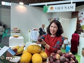 Italy top-4 EU trade partner of Vietnam