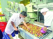Bright oppotunity for export to Asia - Africa markets