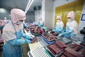 Enterprises proactively source raw materials, tuna exports will reach USD 1 billion