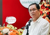 Exchange floor for Vietnam rubber products can overcome traditional business limitations: industry insider