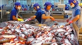 Vietnam's pangasius export is wide open to the Mercosur market