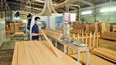 U.S. market accounts for nearly 40 percent of Vietnam's wood export turnover