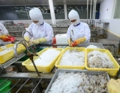 Vietnam takes advantage of opportunities to export agricultural products to the US market