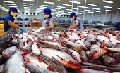 Tra fish export to CPTPP market reaches 114 mln USD as of June 15