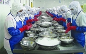 Agricultural, forestry and fishery product exports reached US $ 29.2 billion in the first half of the year
