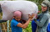 The Philippines can import 4,5 million tons, giving Vietnamese rice more room for export