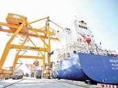 Exports recover positively
