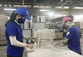 Industry talks up prospects for wood exports