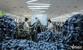 Exports could be affected by EU’s new environment policy