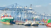 Vietnam becomes top ASEAN exporter to EU on back of EVFTA