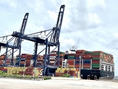 EVFTA boosts Vietnam’s exports to Europe