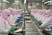 Strategies needed for shrimp sector to meet export target: insiders