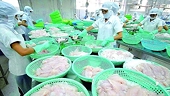 New directions for two key export products of the seafood industry