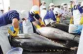 Grasp consumer tastes, increase exports of tuna products to the UK
