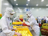 What regulations must be met for frozen durian exported to China?