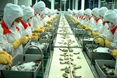 CPTPP boosts Vietnam’s seafood exports to Australia