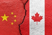 China’s Canadian canola probe consolidates a trade war