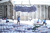 Vietnamese rice exports soar amid global supply shortages