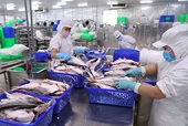 Việt Nam's seafood exports continue recovery