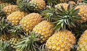 China ends tariff exemptions on 34 Taiwanese products