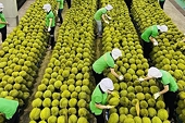 Exports surge, market grows