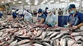 Vietnamese businesses have made good decision to shift their export markets; as a result, they have been getting more orders.