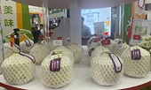 Orders flowing in for export of fresh coconuts to China