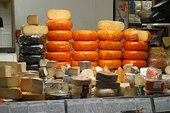 China targets European firms in anti-subsidy probe into EU dairy