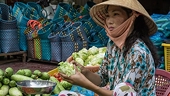 Vietnam Aims To Stop Unofficial-Quota Exports to China by 2030