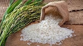 Vietnam seeks to boost rice exports