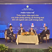 Enterprises develop sustainably thanks to effective trade defense