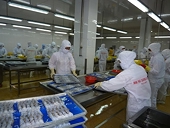 DOC requested to conduct anti-subsidy probe into VN’s frozen warmwater shrimp