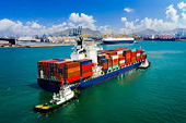 Seafood, agricultural products, wooden products... have a wide range of export opportunities to the UAE