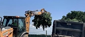 Israel anti-dumping measures; Neurotech International