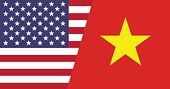 US imposes global safeguard measures on Vietnamese fine denier polyester staple