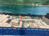 Philippines initiates preliminary safeguard measures investigation on cement from VN