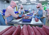 Vietnam's fishing industry asked to maintain its position in global market