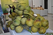 Việt Nam promotes coconut exports, enhances industry value